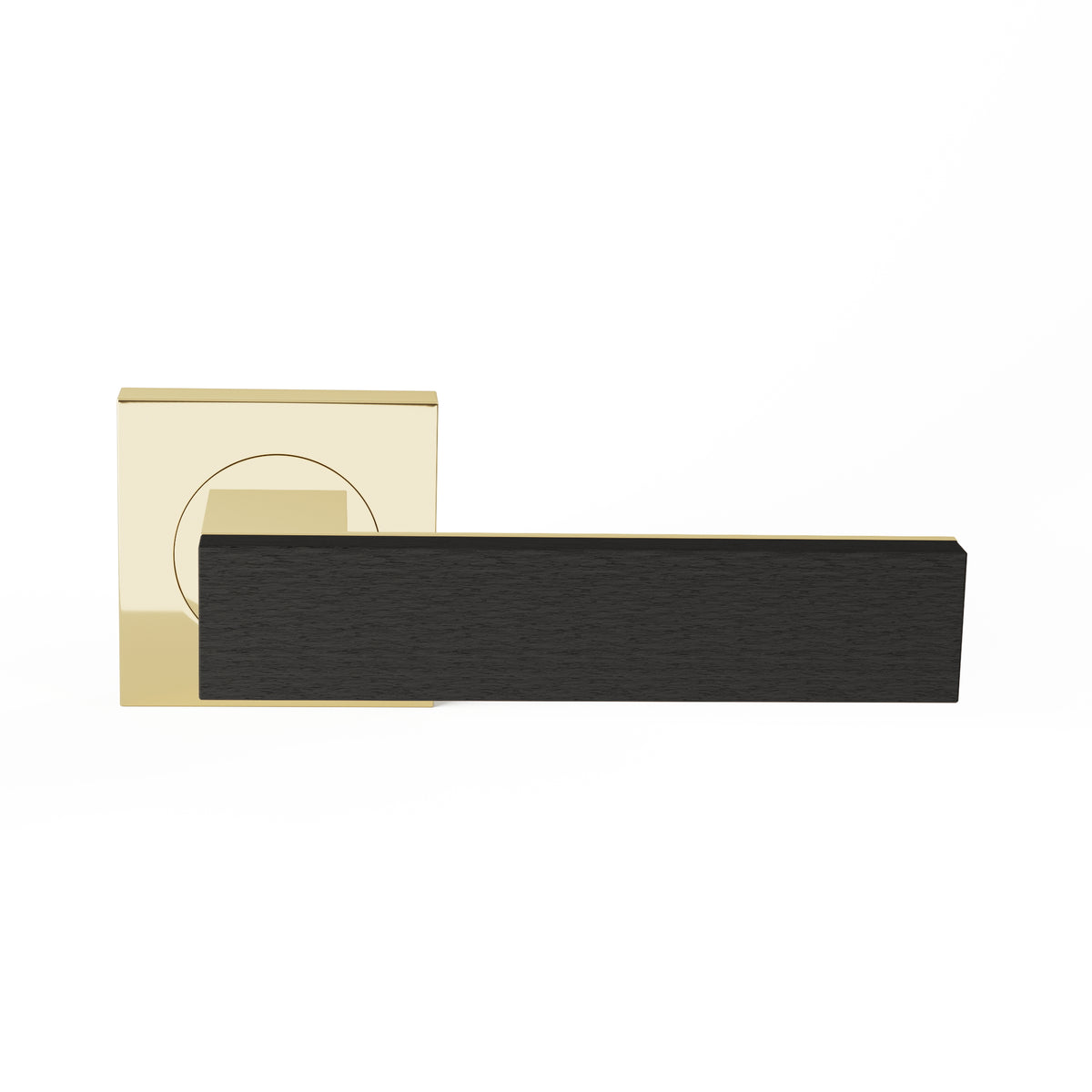 TQU-R50-EF-PBU-msu